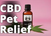 Cannabidiol For Pet Allergies: A Natural Solution For Symptom Relief