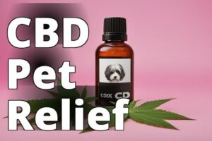 Cannabidiol For Pet Allergies: A Natural Solution For Symptom Relief