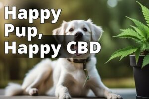 Cbd For Dogs: The Ultimate Guide To Benefits, Dosage, And Administration