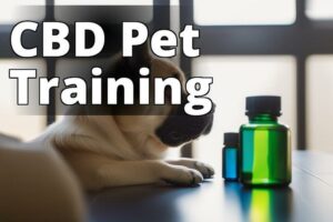 From Aggressive To Obedient: How Cannabidiol Can Help In Pet Training