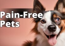 The Ultimate Guide To Cannabidiol For Pet Pain Relief And Wellness