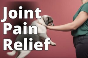 How Cannabidiol Can Help Your Pet’S Joint Health: Dosage And Considerations