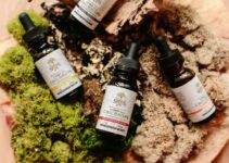 12 Full-Spectrum Cbd Oils For Anxiety Relief