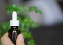 14 Ways To Blend Cannabidiol Oil With Aromatherapy