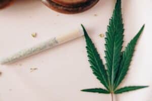 Thc Levels In Cannabis-Derived Vs Hemp Cbd Oils